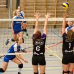 VV Grol