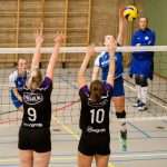 VV Grol
