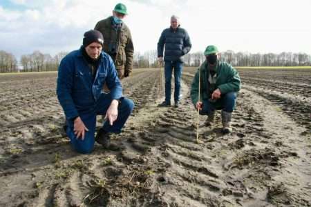 Vondst eerste kievitsei in Oost Gelre is toetssteen voor biodivers landschap