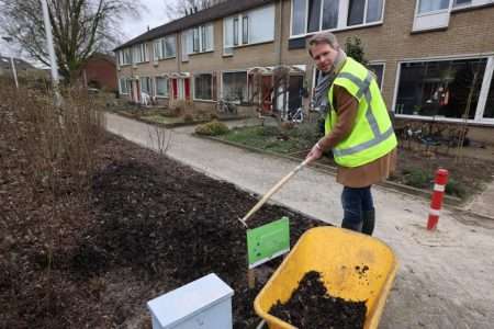 Wethouder Porskamp strooit bokashi uit over plantsoen in Groenlo (LR)