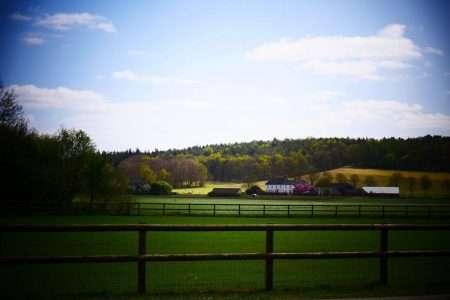 image001