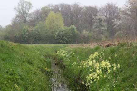 Winterswijk - Struinen in Ratum - foto Geldersch Landschap & Kasteelen