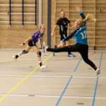 H.V. Grol DS1