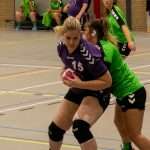 H.V. Grol DS4