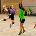 H.V. Grol DS4