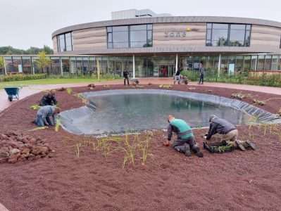 Studenten Tuin & landschap beplanten vijver in schooltuin