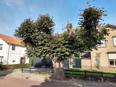 linde Hengelo (gld.)