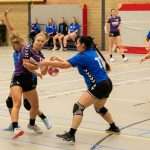 HV Grol DS3