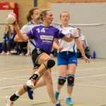 H.V. Grol DS2