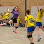 H.V. Grol DS4