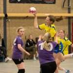 H.V. Grol DS4