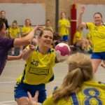 H.V. Grol DS4