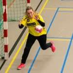 H.V. Grol DS2