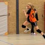 H.V. Grol DMW1