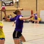 H.V. Grol DS1