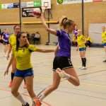 H.V. Grol DS1