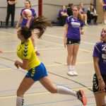 H.V. Grol DS1