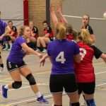 H.V. Grol DS2