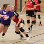 H.V. Grol DS2