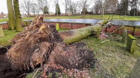 Boom vernield muur begraafplaats