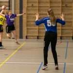 H.V. Grol DS2