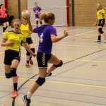 H.V. Grol DS2