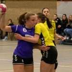 H.V. Grol DS2