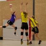 H.V. Grol DS2