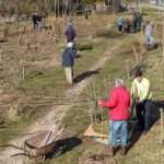 Schanskorven vlechten-