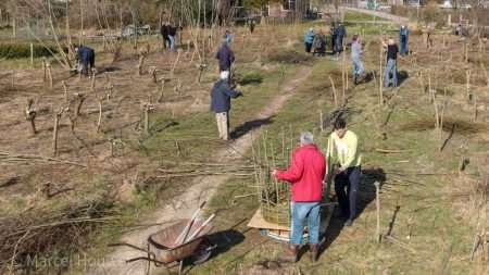 Schanskorven vlechten in Wilgenbosje