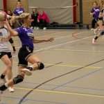 H.V. Grol DS1