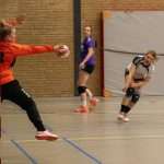 H.V. Grol DS1