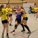 H.V. Grol DS1