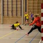 H.V. Grol DS1