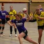 H.V. Grol DS1