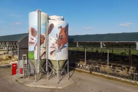 Op het erf van Koeientuin Kraanswijk zijn de drie grootste silo’s beschilderd met koeien.