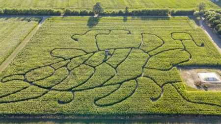 dji_export_1660068491024 (2)