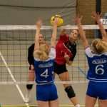 VV Grol DS 1