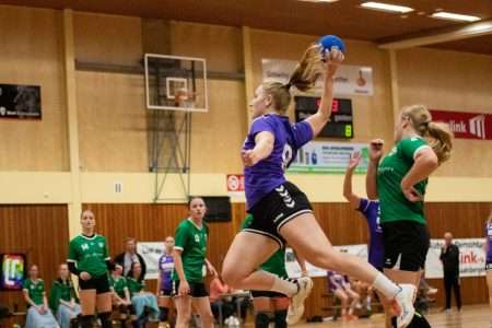 Stormvogels – H.V. Grol DS1