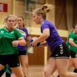 H.V. Grol DS1