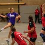 H.V. Grol DS1