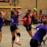 H.V. Grol DS1