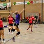 H.V. Grol DS2