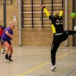 H.V. Grol DS2