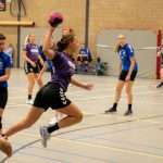 H.V. Grol DS3
