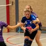 H.V. Grol DS3
