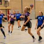 H.V. Grol DS3