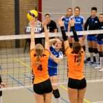 VV Grol DS1