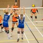 VV Grol DS1