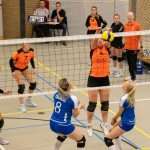 VV Grol DS1